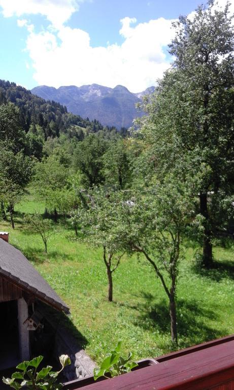 Korosec Matej Apartamento